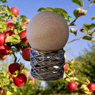 Forest Apple Aroma Sphere