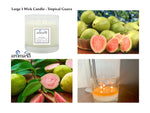 Tropical Guava Large 3 Wick Candle